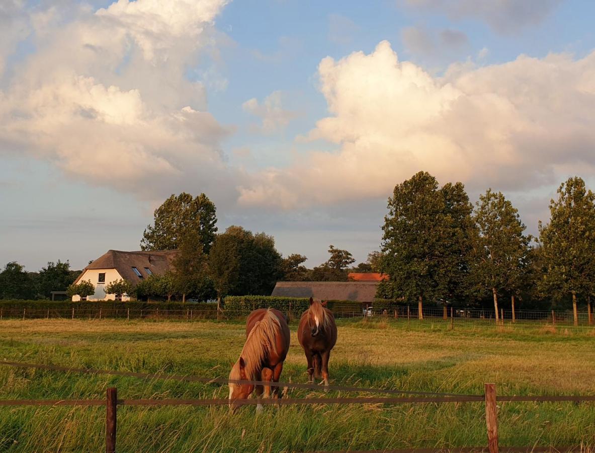 B&B De Scherpenhof Leur Eksteriør bilde