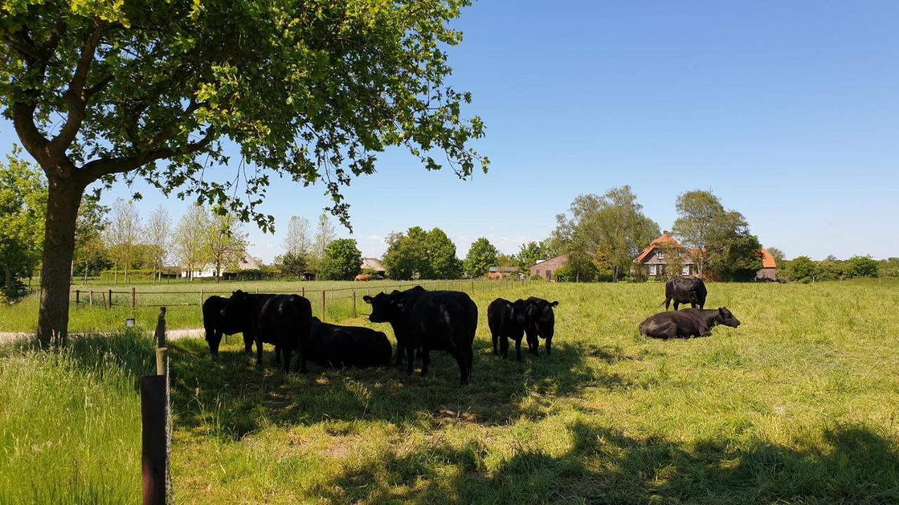 B&B De Scherpenhof Leur Eksteriør bilde